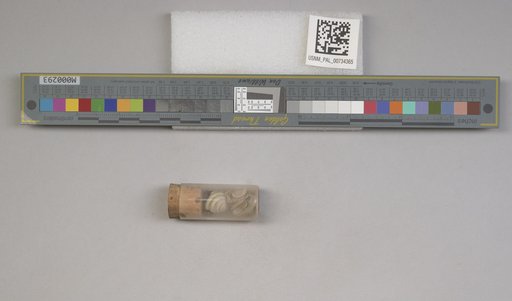 NSF ADBC EPICC TCN