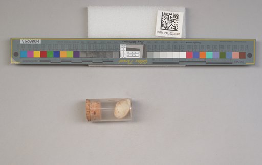 NSF ADBC EPICC TCN