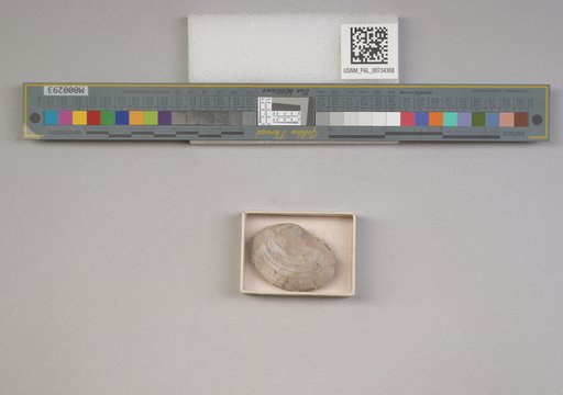 NSF ADBC EPICC TCN