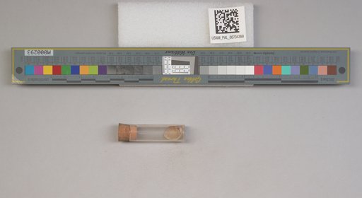 NSF ADBC EPICC TCN
