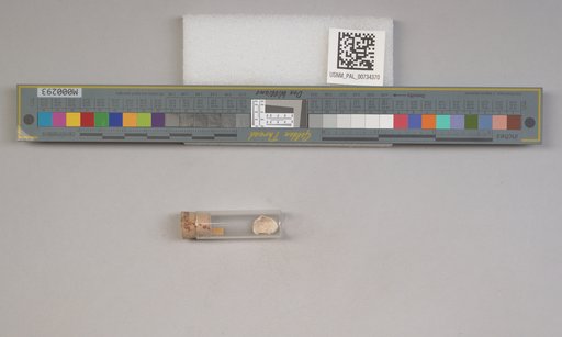 NSF ADBC EPICC TCN