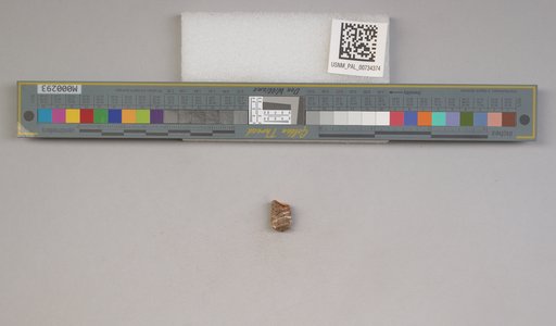 NSF ADBC EPICC TCN