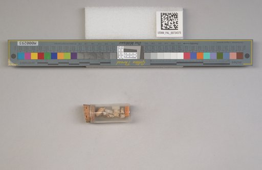 NSF ADBC EPICC TCN