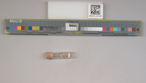 NSF ADBC EPICC TCN