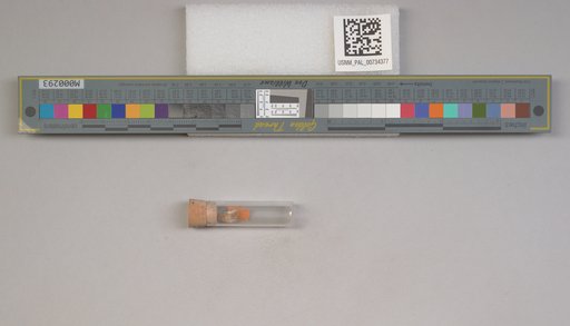 NSF ADBC EPICC TCN