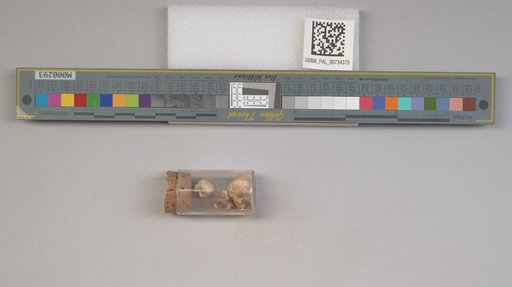 NSF ADBC EPICC TCN
