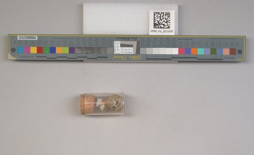 NSF ADBC EPICC TCN