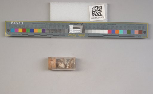 NSF ADBC EPICC TCN