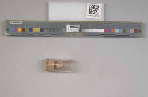 NSF ADBC EPICC TCN