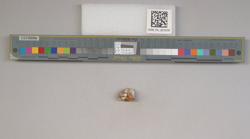 NSF ADBC EPICC TCN