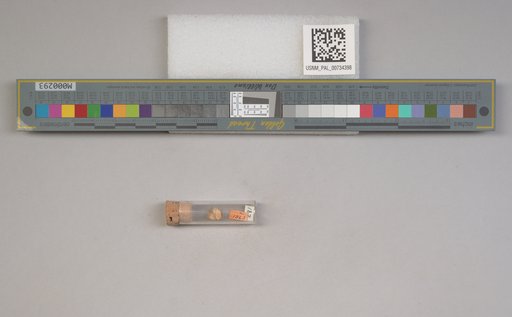 NSF ADBC EPICC TCN