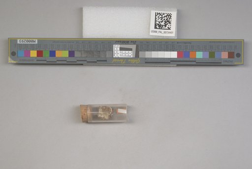 NSF ADBC EPICC TCN