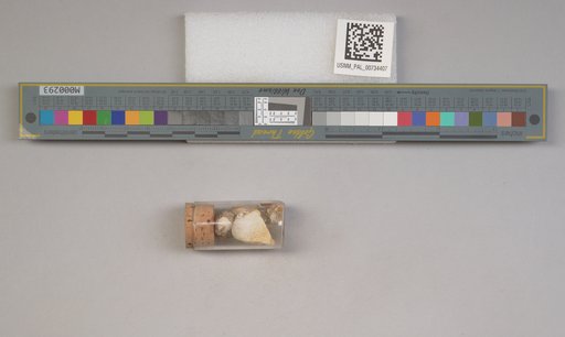 NSF ADBC EPICC TCN