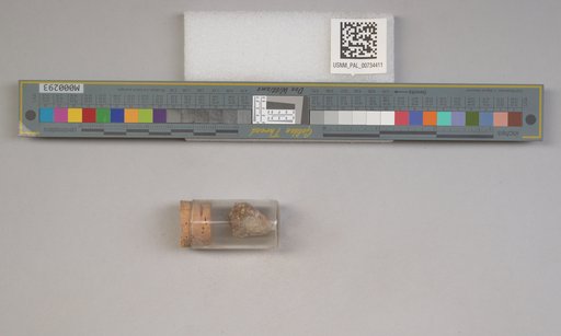 NSF ADBC EPICC TCN