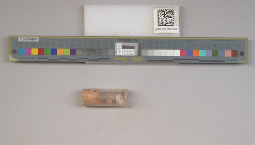 NSF ADBC EPICC TCN