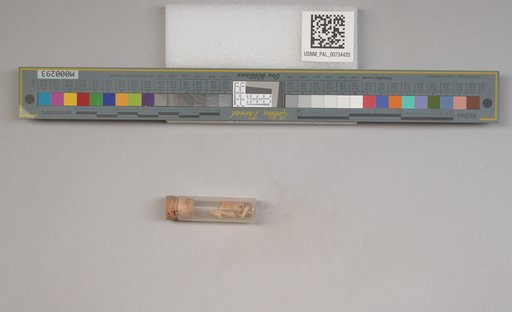 NSF ADBC EPICC TCN