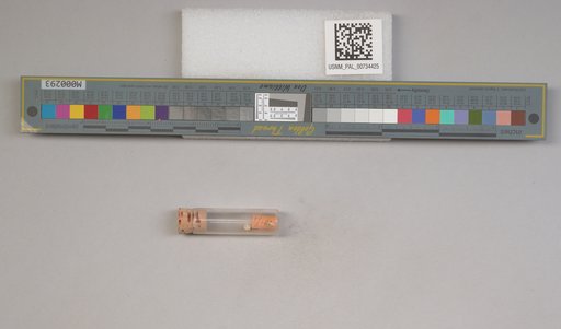 NSF ADBC EPICC TCN