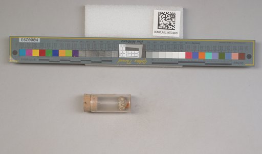 NSF ADBC EPICC TCN