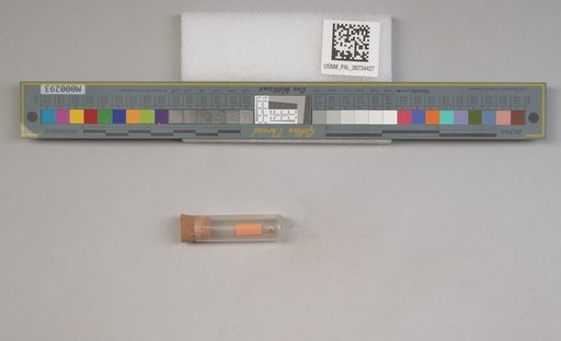 NSF ADBC EPICC TCN