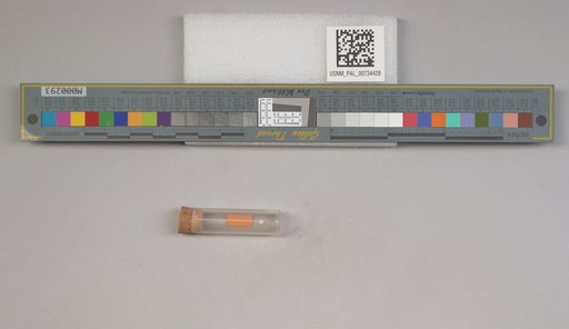 NSF ADBC EPICC TCN