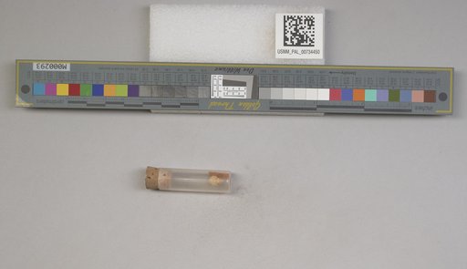 NSF ADBC EPICC TCN