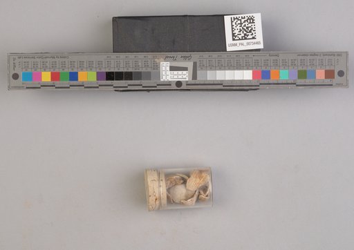 NSF ADBC EPICC TCN