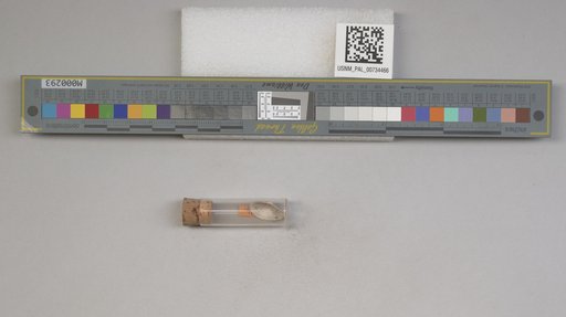 NSF ADBC EPICC TCN