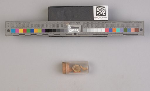 NSF ADBC EPICC TCN