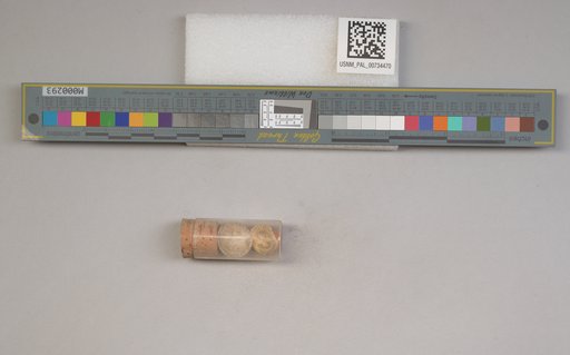 NSF ADBC EPICC TCN