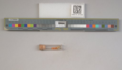 NSF ADBC EPICC TCN