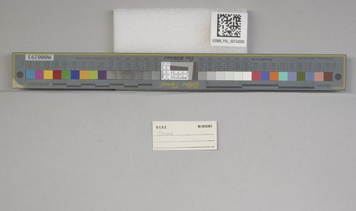 NSF ADBC EPICC TCN