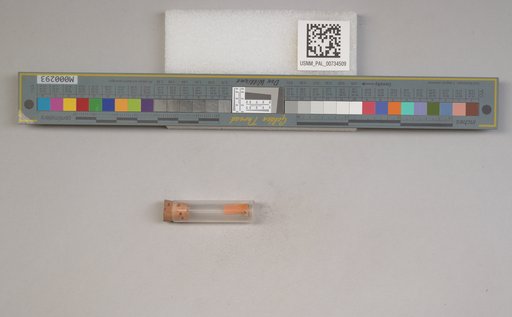 NSF ADBC EPICC TCN