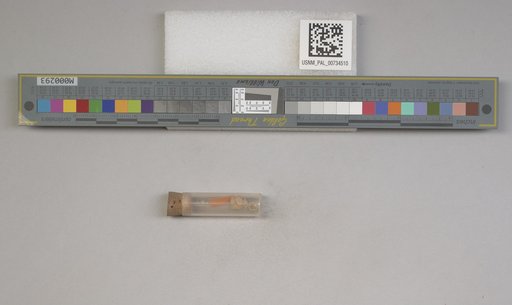 NSF ADBC EPICC TCN