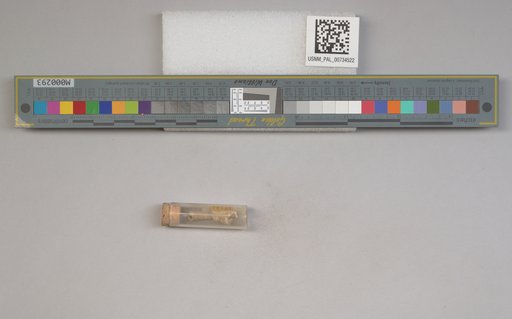NSF ADBC EPICC TCN