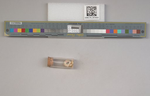 NSF ADBC EPICC TCN
