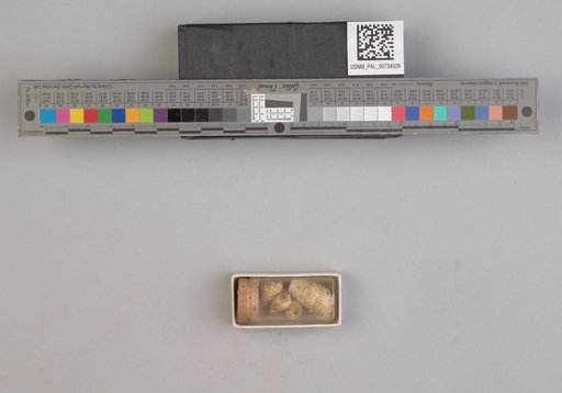 NSF ADBC EPICC TCN