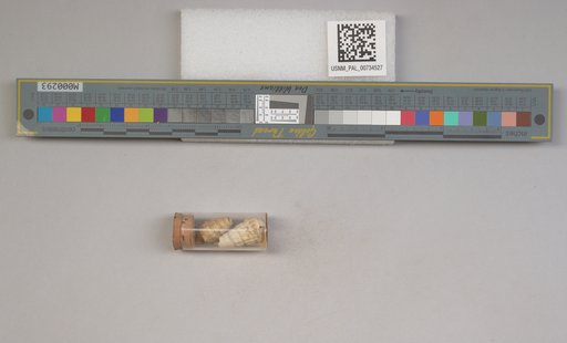 NSF ADBC EPICC TCN