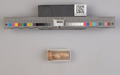 NSF ADBC EPICC TCN