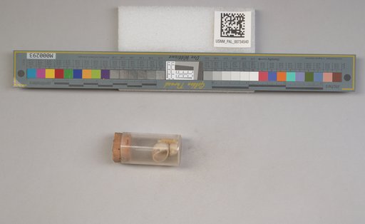 NSF ADBC EPICC TCN