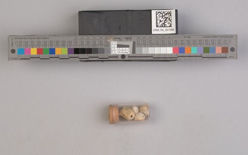NSF ADBC EPICC TCN
