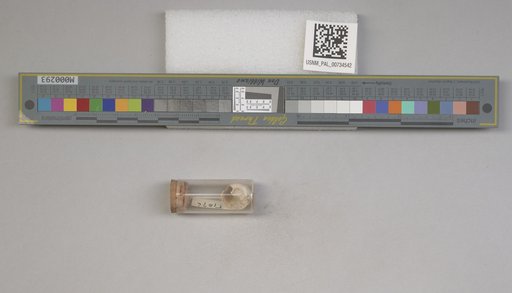 NSF ADBC EPICC TCN