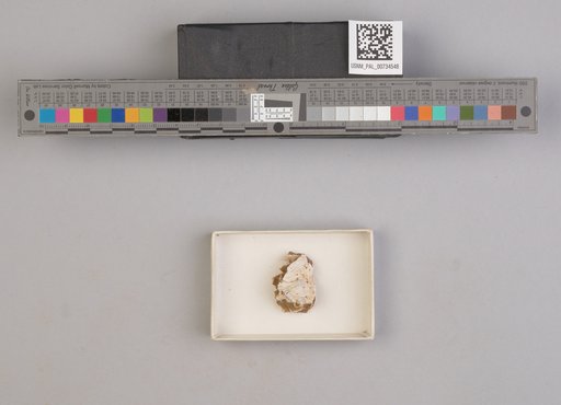 NSF ADBC EPICC TCN