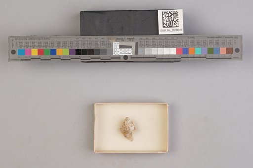 NSF ADBC EPICC TCN