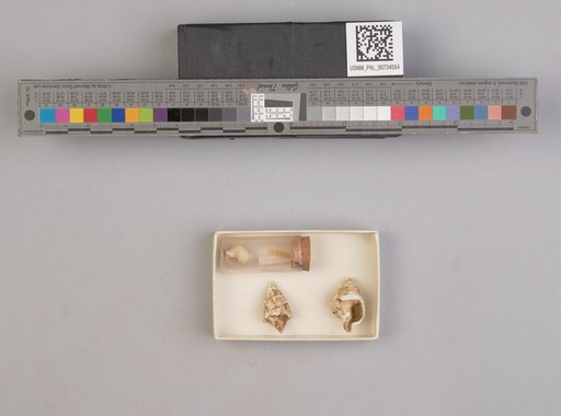 NSF ADBC EPICC TCN