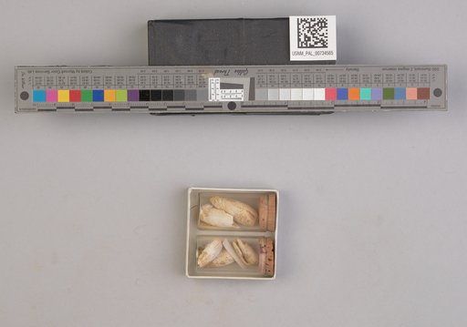 NSF ADBC EPICC TCN