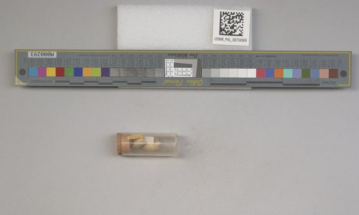 NSF ADBC EPICC TCN