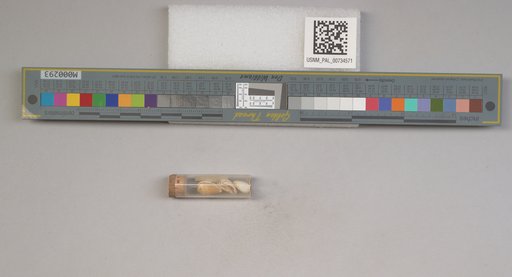 NSF ADBC EPICC TCN