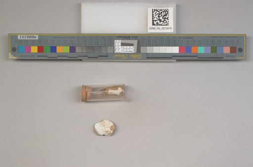 NSF ADBC EPICC TCN