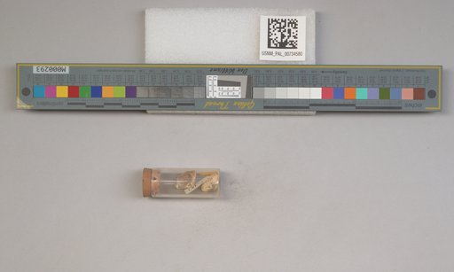 NSF ADBC EPICC TCN