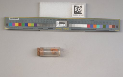 NSF ADBC EPICC TCN